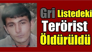 Öldürülen teröristin gri listede olduğu tespit edildi