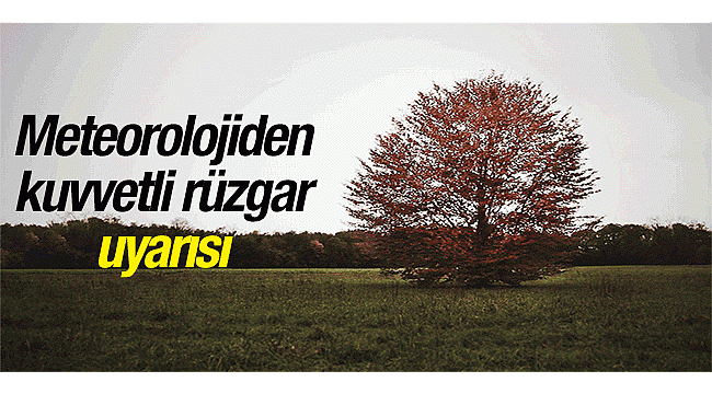 Doğu Anadolu'da kuvvetli rüzgar uyarısı