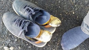 Uyuşturucu, ayakkabılarının içinden çıktı