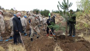Mehmetçik, şehit ve depremde hayatını kaybedenler için bin fidan dikti