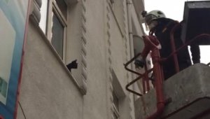 Pencere önünde mahsur kalan kediyi itfaiye kurtardı