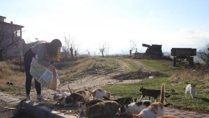 Üniversite öğrencilerinden, "Mama kumbarası" ile sokak hayvanlarına destek