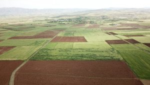 Elazığ'da arazi toplulaştırma çalışmaları sürüyor