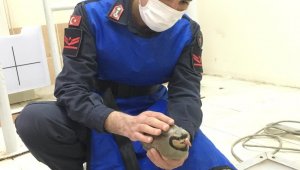 Jandarmanın önüne düşen yaralı keklik tedavi altına alındı