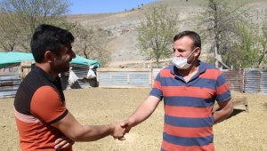 Kayıp kuzu ve koçların sahibi, haber sayesinde bulundu