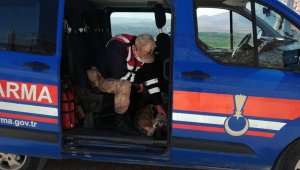 Yaralı köpeği fark eden jandarma, ekip aracıyla hastaneye götürdü