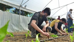 Elazığ'da 'Ağacımla büyüyorum, kendi seramda üretiyorum' projesi