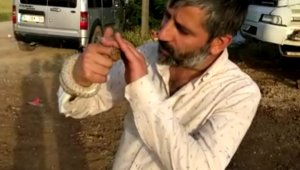 Yakaladığı yılanı böyle sevip öptü, o anlar kameraya yansıdı
