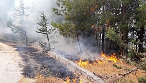 “Akşama doğru yangını söndüreceğiz”
