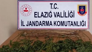 Elazığ'da uyuşturucuyla mücadele çalışması