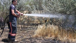 Elazığ'da yangın: 12 dönüm ekili alan kül oldu