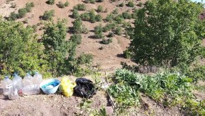 Elazığ'da zehir tacirlerine operasyon, 17 kilo esrar ele geçirildi