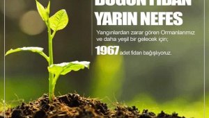 Elazığspor, 1967 fidan bağışlayacak