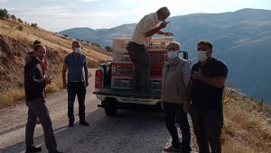 Elazığ'da 850 keklik doğaya salındı