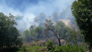 Elazığ'da çıkan orman yangını kısa sürede söndürüldü