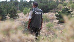 Elazığ'da, ormanlık alanlarda sıkı denetim