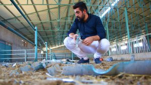 1 hafta boyunca çiftlikten 500 bin liralık malzemeleri çaldılar