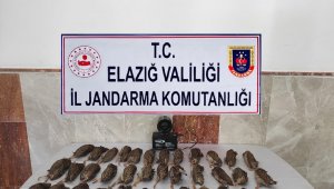 Elazığ'da kaçak bıldırcın avına 8 bin 220 lira ceza