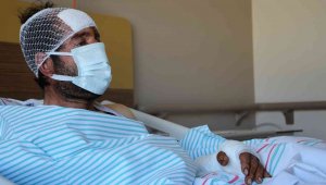 Ayı saldırısı sonucu hastanelik olan şahıs, dehşet anlarını anlattı: "O korkuyla 5 kilometre yol yürümüşüm"