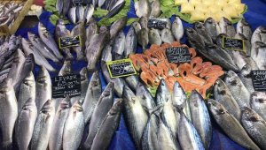 Balığa rağbet arttı