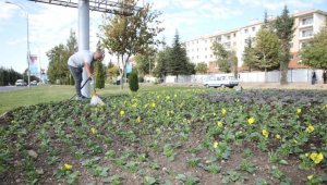 Elazığ Belediyesinden mevsimlik çiçek dikimi