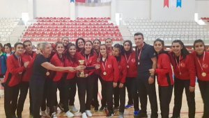 Elazığ Gençlik ve Spor Kulübü, 2. Lig'de
