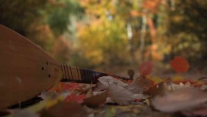 Elazığ'da sonbaharda rengarenk olan ağaçlar havadan görüntülendi