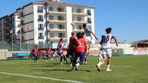 Elazığspor ve Elazığ Karakoçan PFDK'ya sevk edildi