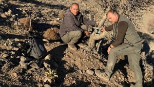 Elazığ'da yaban hayatı ve kaçak avcılar, fotokapanlarla tespit ediliyor