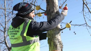 Cumhurbaşkanı Erdoğan işaret etti, Elazığ Belediyesi hemen yerine getirdi
