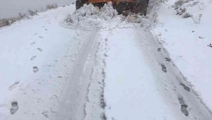 Elazığ'da karla mücadele başladı