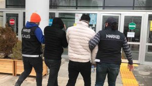 Narkotik köpeği 'Alex' uyuşturucuya geçit vermedi: 2 gözaltı