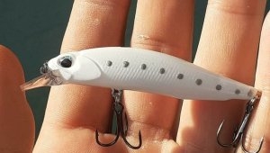 Oltaya balık değil martı takıldı