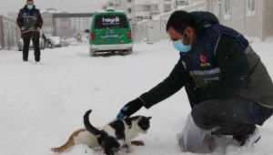 Elazığ'da 'HAYDİ' polisleri sokak hayvanlarını mamayla besledi
