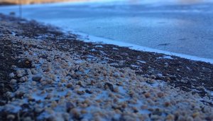 Elazığ'da Sülüklü Göl buz tuttu