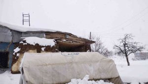 Hayvanlarının yemi karla kaplı çadırın altında kalan engelli vatandaşın imdadına jandarma koştu