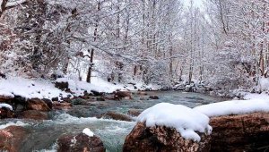 Mirvan Çayı, dört mevsim farklı güzelliğiyle göz kamaştırıyor