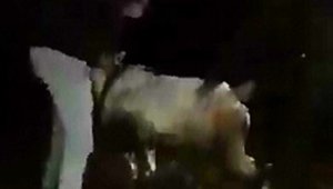 Tel örgülere takılan dağ keçisini köylüler ve jandarma kurtardı