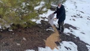 Elazığ'da yaban hayvanları için doğaya yem bırakıldı