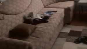 Hırsızlar güpegündüz kapısını ve pencere korkuluklarını çaldıkları evi talan etti