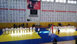 Judo grup müsabakaları Elazığ'da