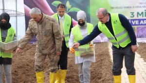 3 milyon aromatik fide tohumu toprakla buluştu