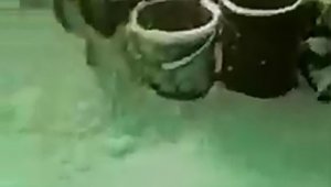 Elazığ'da şaşırtan manzara: Evlerin içi karla doldu