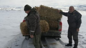 Elazığ'da yaban hayvanları için doğaya yem bırakıldı