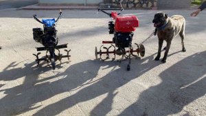Elazığ'da çapa motoru ve kangal köpeği çalan şüpheliler yakalandı