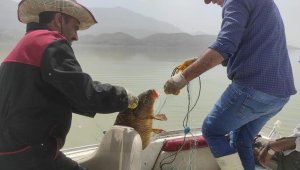 Elazığ'da kaçak avcılara operasyon