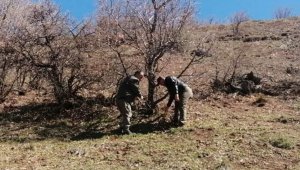 Elazığ'da yaban hayatı ve kaçak avcılar, fotokapanlarla tespit ediliyor