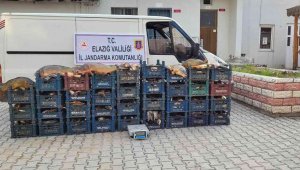 Elazığ'da 3 kaçak avcıya, 22 bin lira ceza kesildi