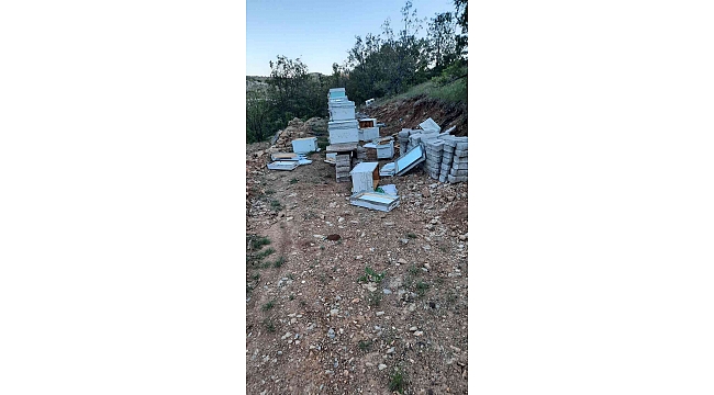 Elazığ'da ayılar arı kovanlarını parçaladı