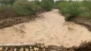 Elazığ'da dereler taştı, su altında kalan tarım arazileri zarar gördü